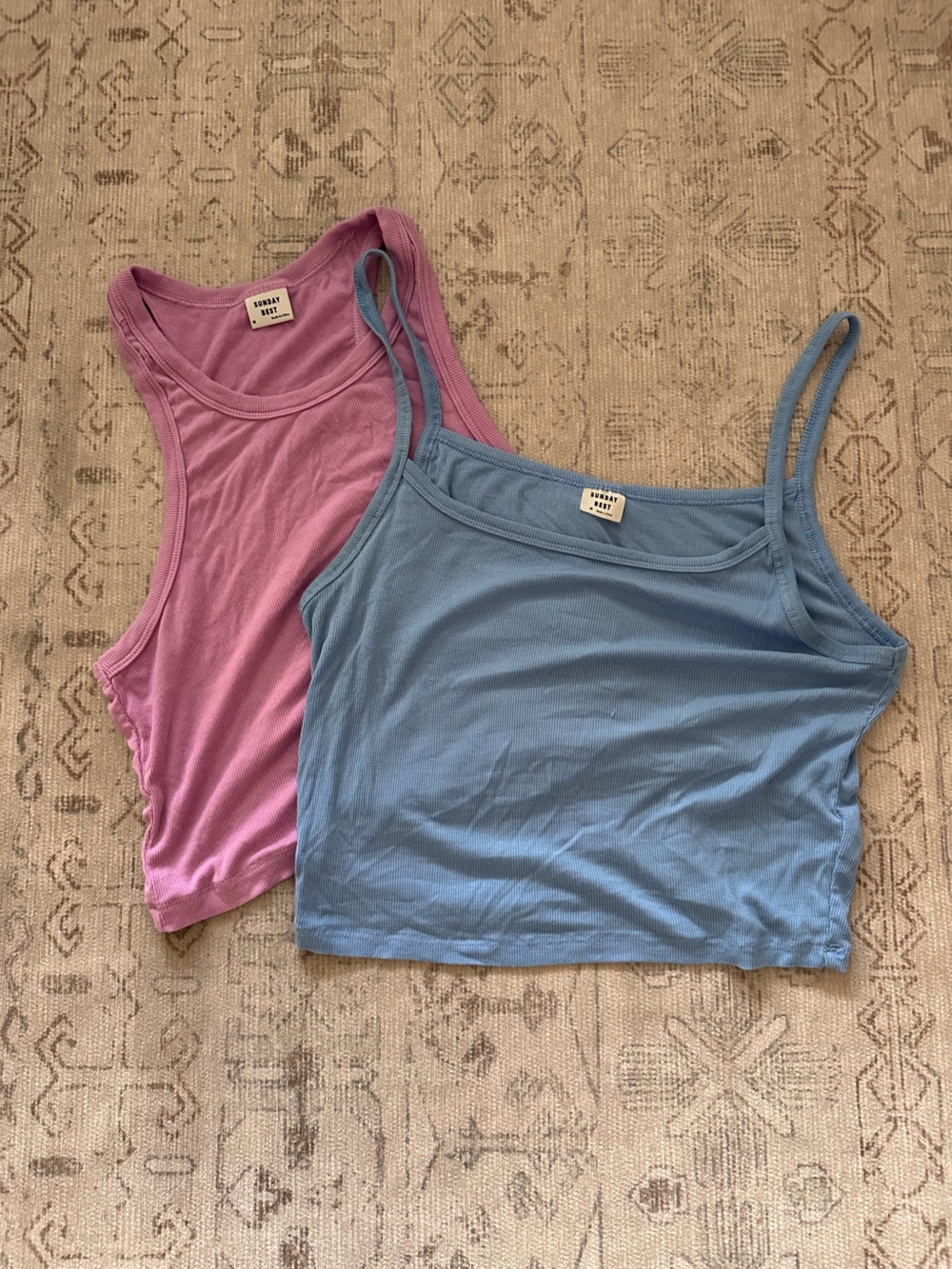 Aritzia Pink Tank and Blue Spaghetti Strap Camisole Duo